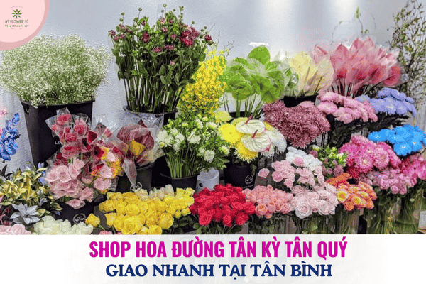 Shop Hoa Đường Tân Kỳ Tân Quý - Giao Nhanh Tại Quận Tân Bình